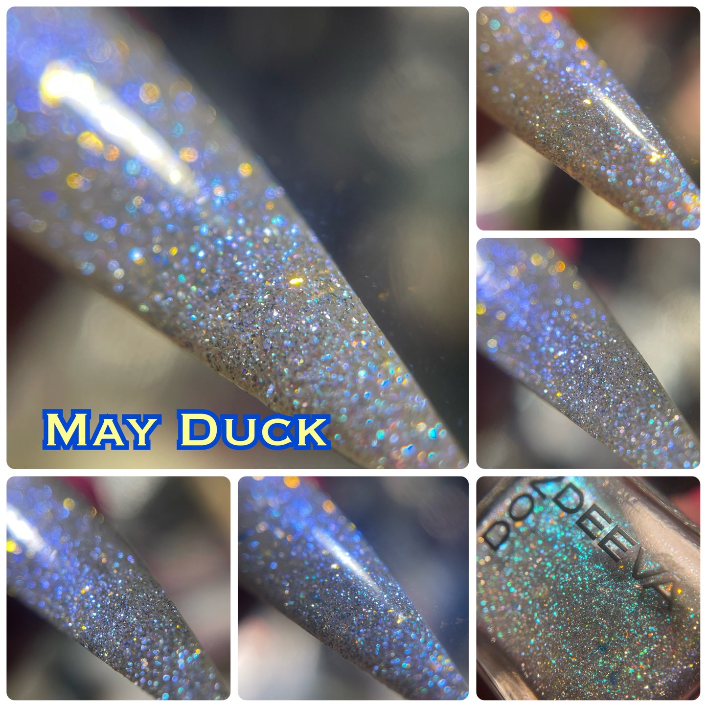 May Duck