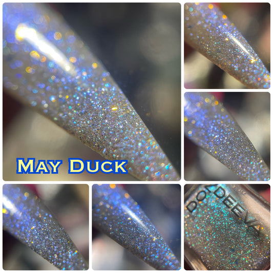 May Duck