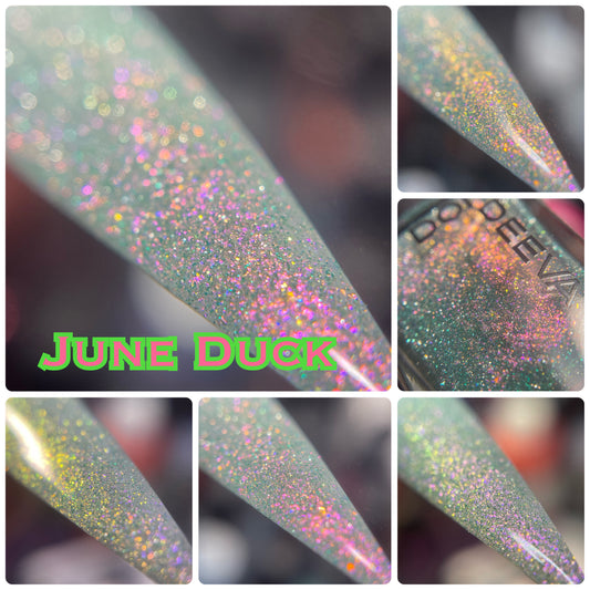June Duck