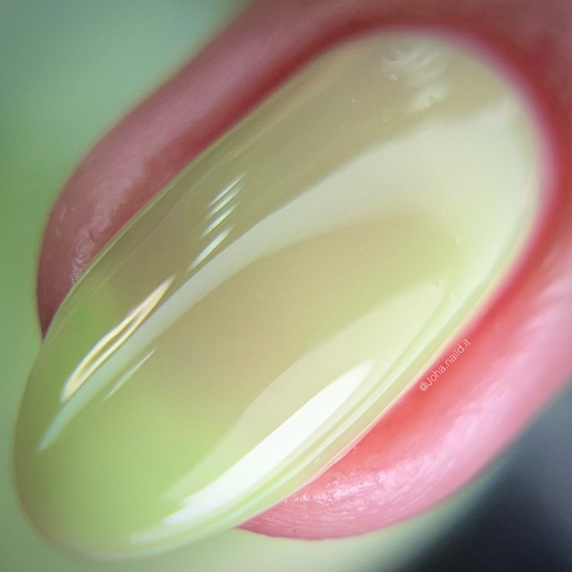 Matcha Milk