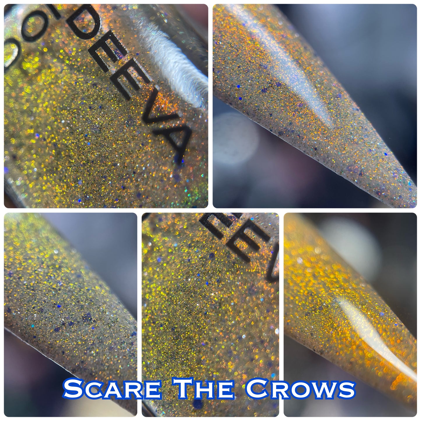 Scare The Crows-OGUP