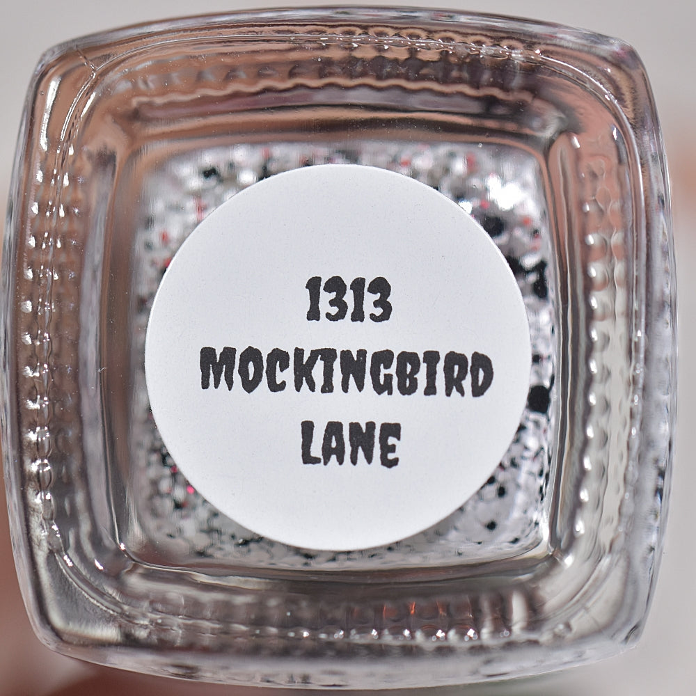 1313 Mocking Bird Lane